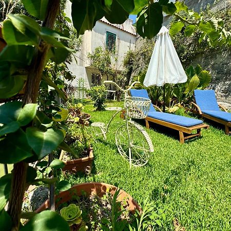 Gogas Amalfi Coast Apartment Cetara Ngoại thất bức ảnh